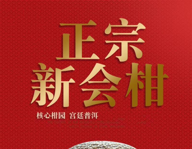 新会小青柑广东新会陈皮普洱茶生晒500g厂家批发