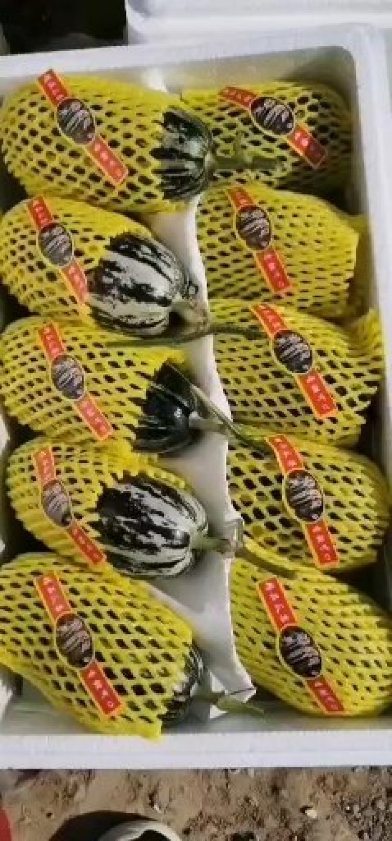 博洋九羊角蜜大量有货，供货时间长，对接各电商，批发商