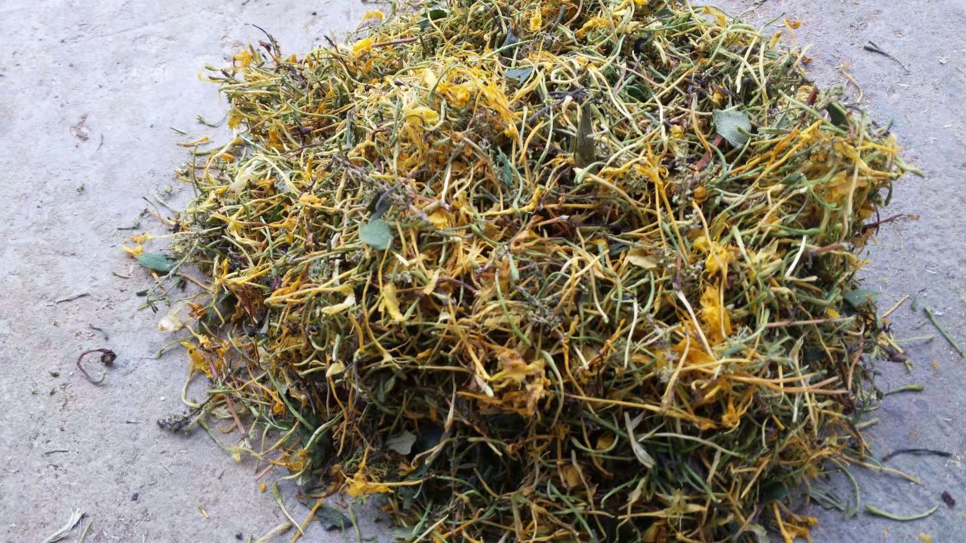 黄芩与其他中药材搭配图