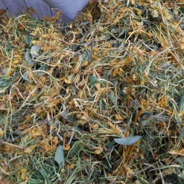 蒸汽五彩花(药厂投料货)