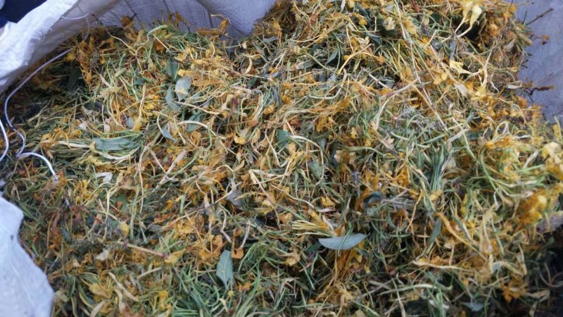 蒸汽五彩花(药厂投料货)