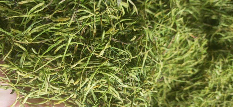 金银花茶(蒸汽茶花/拉丝花)