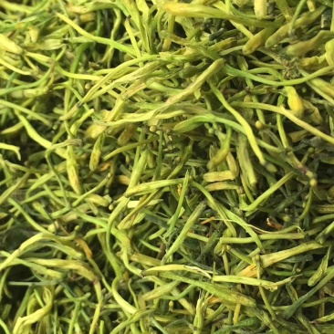 金银花茶(蒸汽茶花/拉丝花)