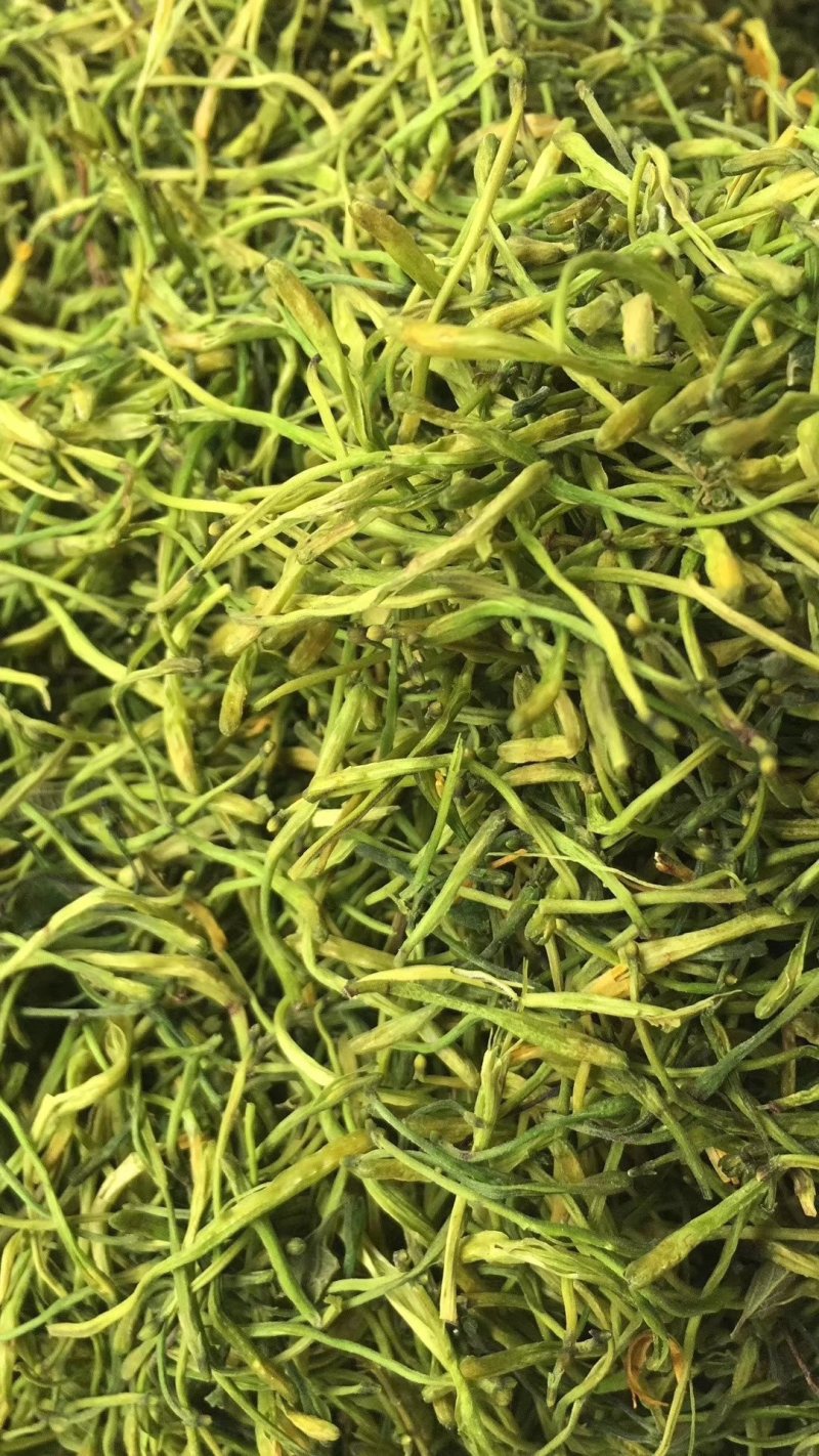 金银花茶(蒸汽茶花/拉丝花)