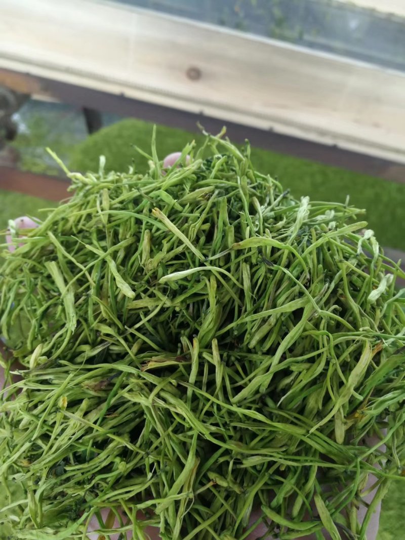 金银花茶(蒸汽茶花/拉丝花)