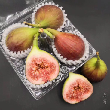 现货无花果鲜果新鲜现摘现发坏果包赔支持视频看货