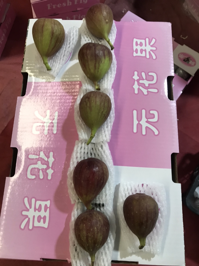 现货无花果鲜果新鲜现摘现发坏果包赔支持视频看货