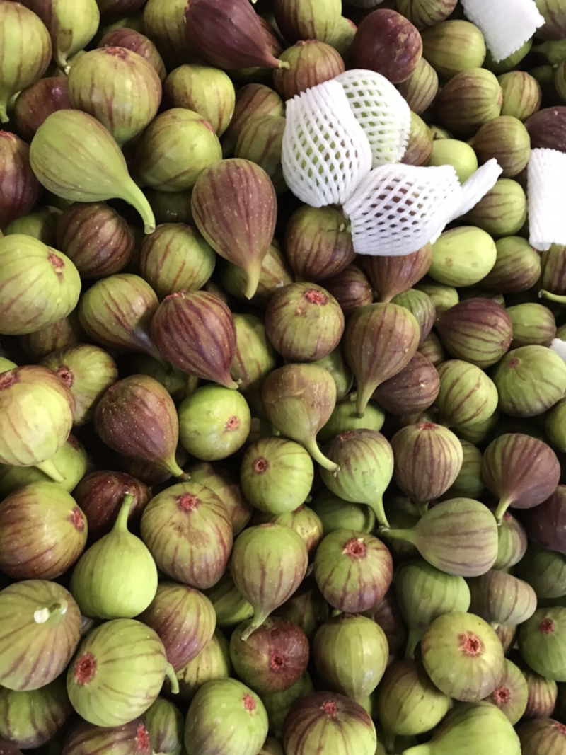 现货无花果鲜果新鲜现摘现发坏果包赔支持视频看货