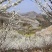 贵州深山土鸡蛋