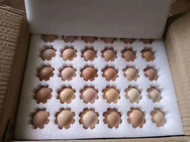 土鸡蛋