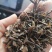 刘寄奴野生一一一一高含量！有个有片一手货源产地直发。！