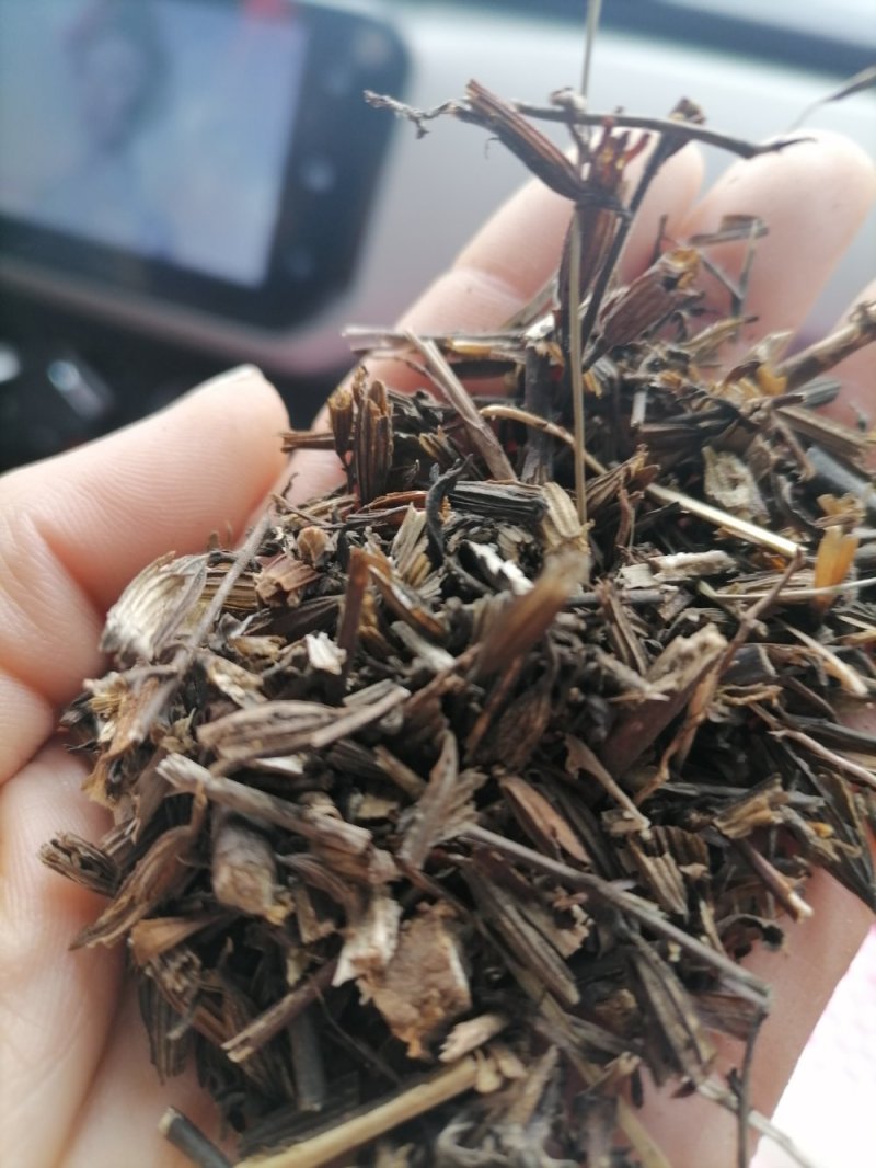 刘寄奴野生一一一一高含量！有个有片一手货源产地直发。！
