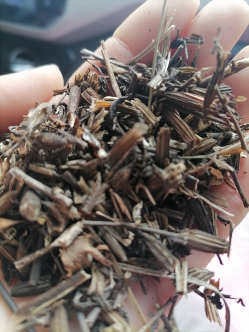 刘寄奴野生一一一一高含量！有个有片一手货源产地直发。！