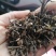 刘寄奴野生一一一一高含量！有个有片一手货源产地直发。！