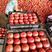 （批发价）河北饶阳硬粉西红柿上市，果形圆，硬度好