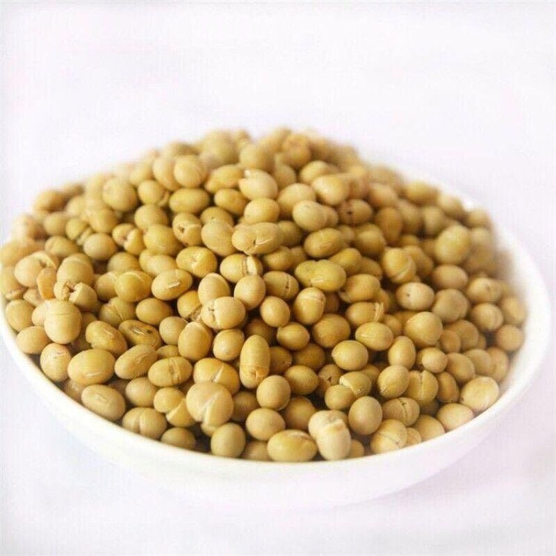 黄豆，熟黄豆黑芝麻糊原料