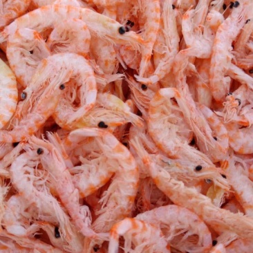 南极磷虾，深海磷虾，不咸。南极磷虾是高蛋白质的食物