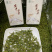 明前新茶绿茶安吉白茶特级黄金芽罐装礼盒装