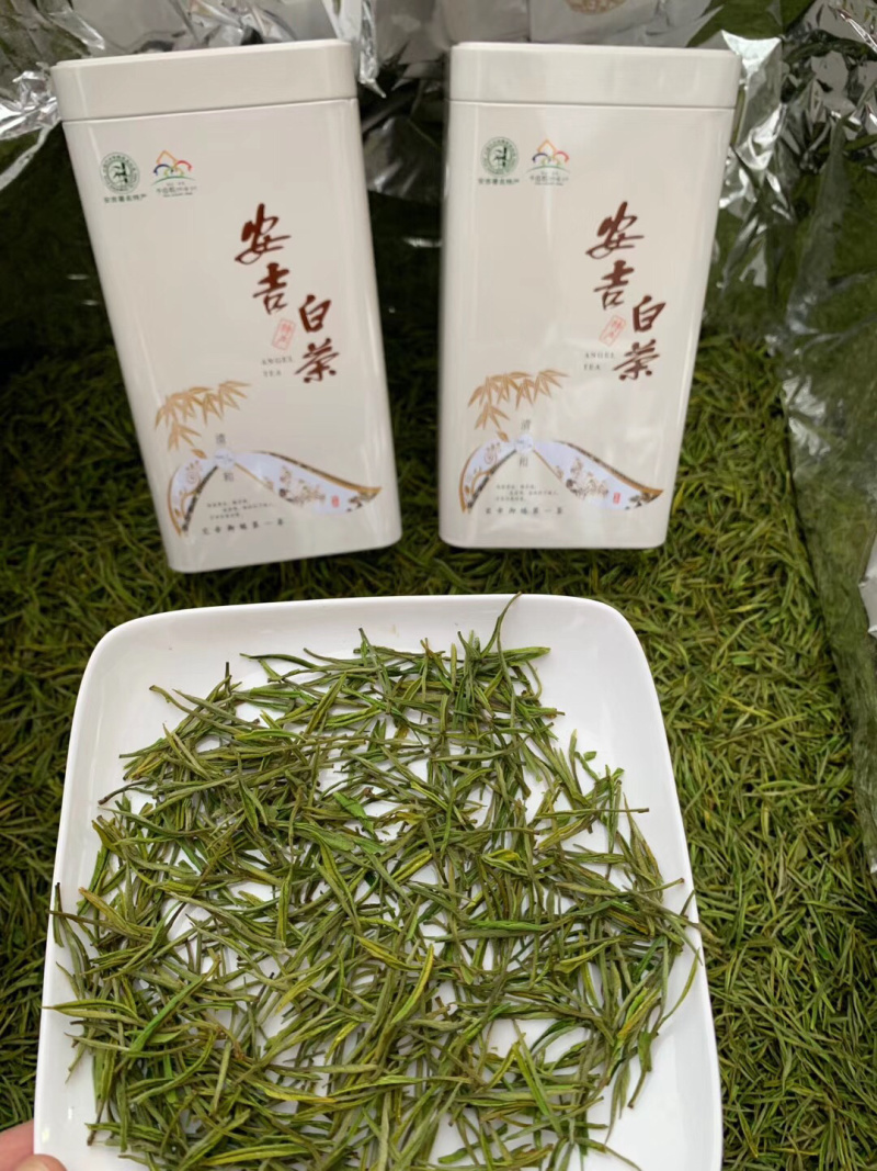 明前新茶绿茶安吉白茶特级黄金芽罐装礼盒装