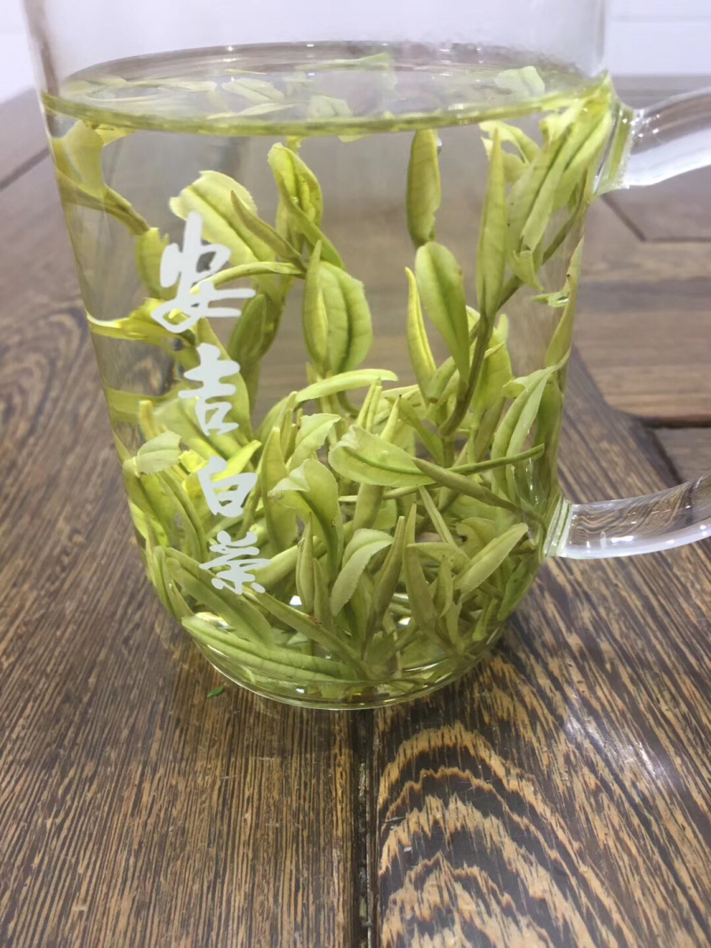 明前新茶绿茶安吉白茶特级黄金芽罐装礼盒装