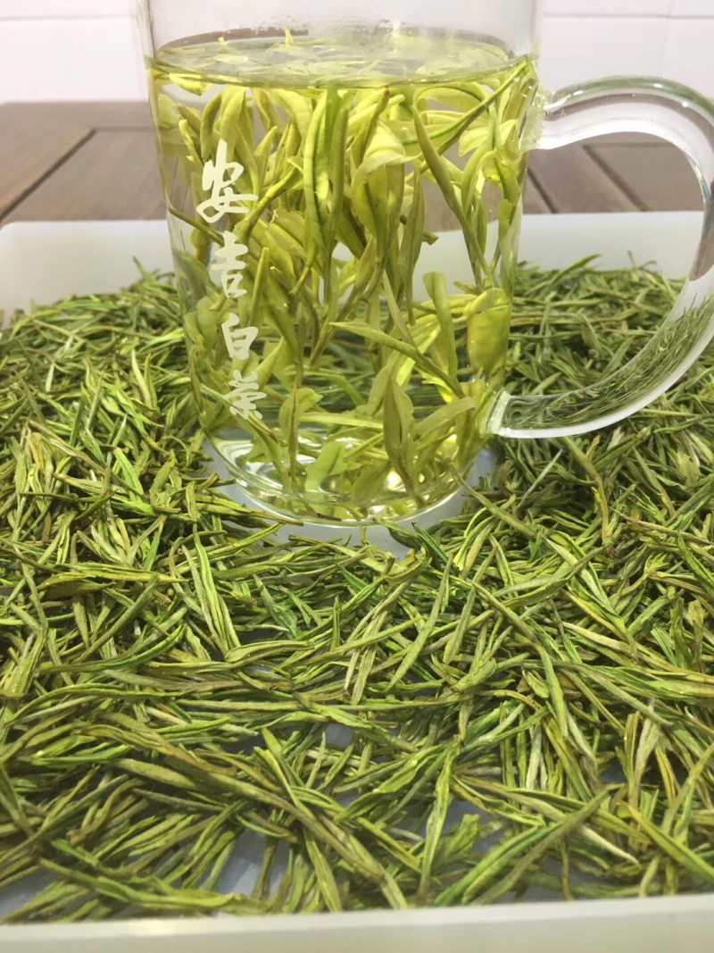 明前新茶绿茶安吉白茶特级黄金芽罐装礼盒装