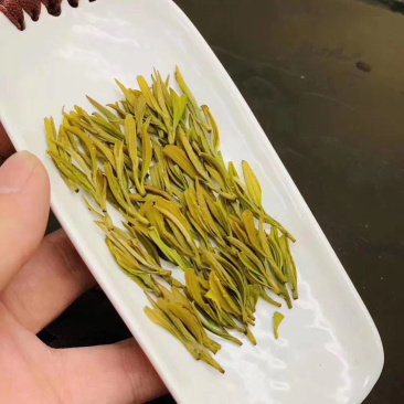 明前新茶绿茶安吉白茶特级黄金芽罐装礼盒装
