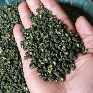 麻椒