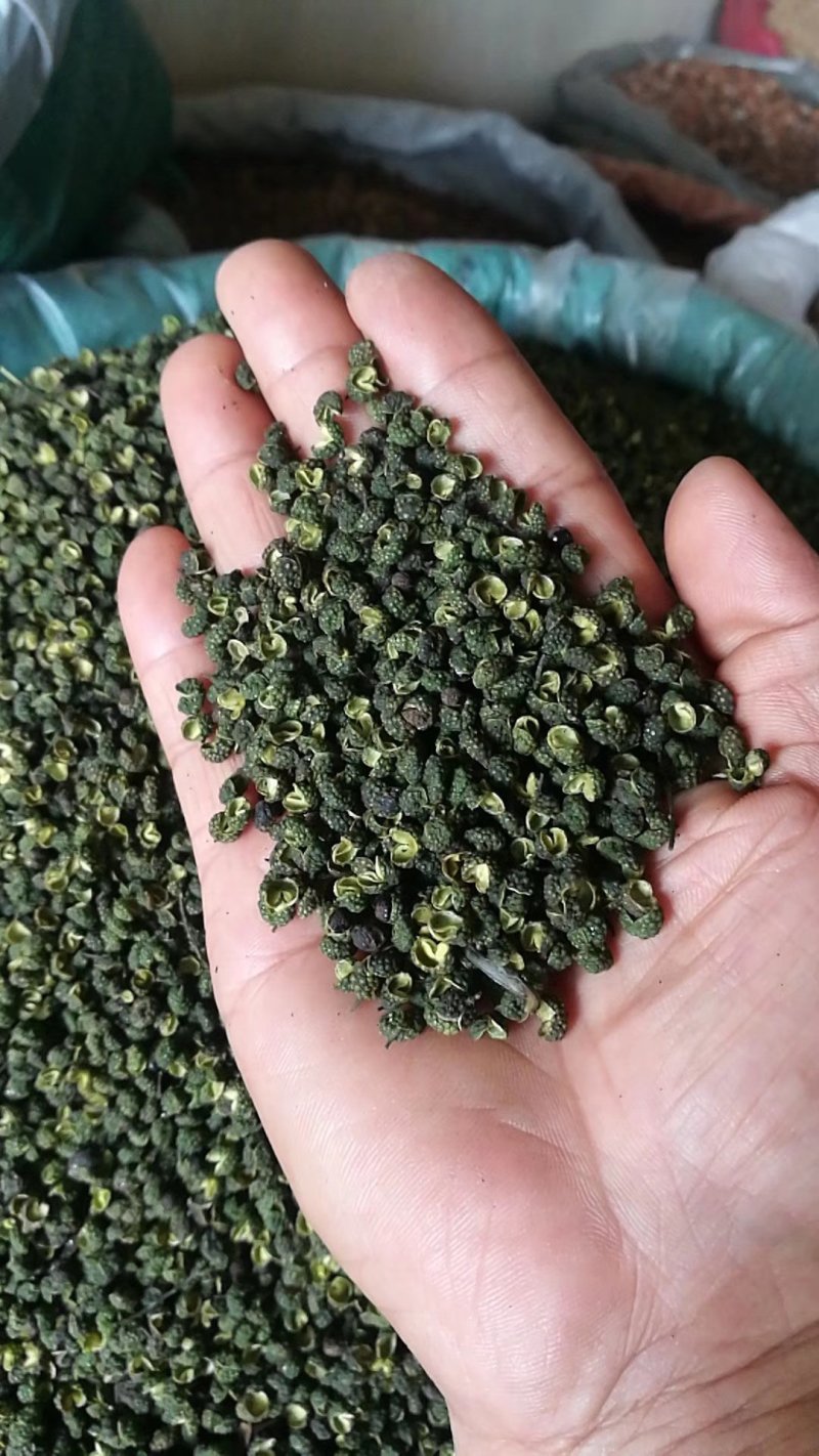 麻椒