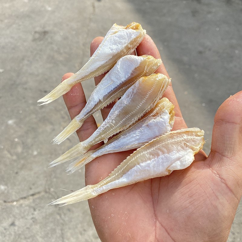 北海特产红娘鱼干风干鱼一件发货