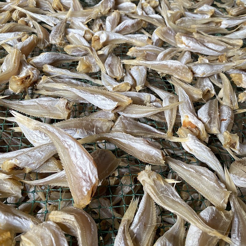 北海特产红娘鱼干风干鱼一件发货
