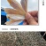 北海特产红娘鱼干风干鱼一件发货