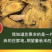 大黄种子马蹄大黄牛舌大黄火参黄良水根