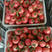 硬粉西红柿，亮度，个头，形，非常好，量大，弧三以上