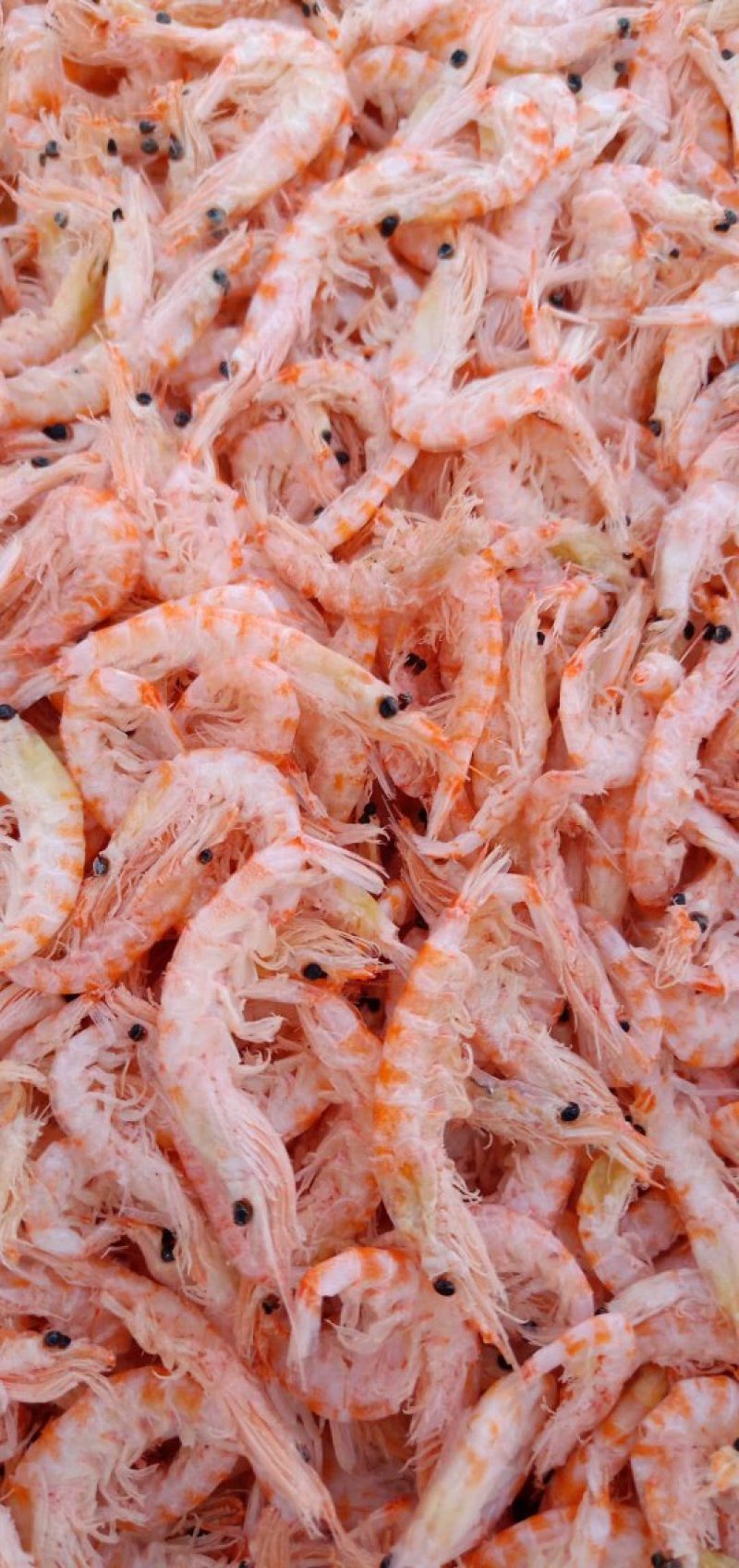 南极磷虾，深海磷虾，不咸。南极磷虾是高蛋白质的食物