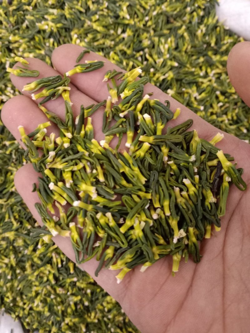 莲子心选货包花茶用。精品