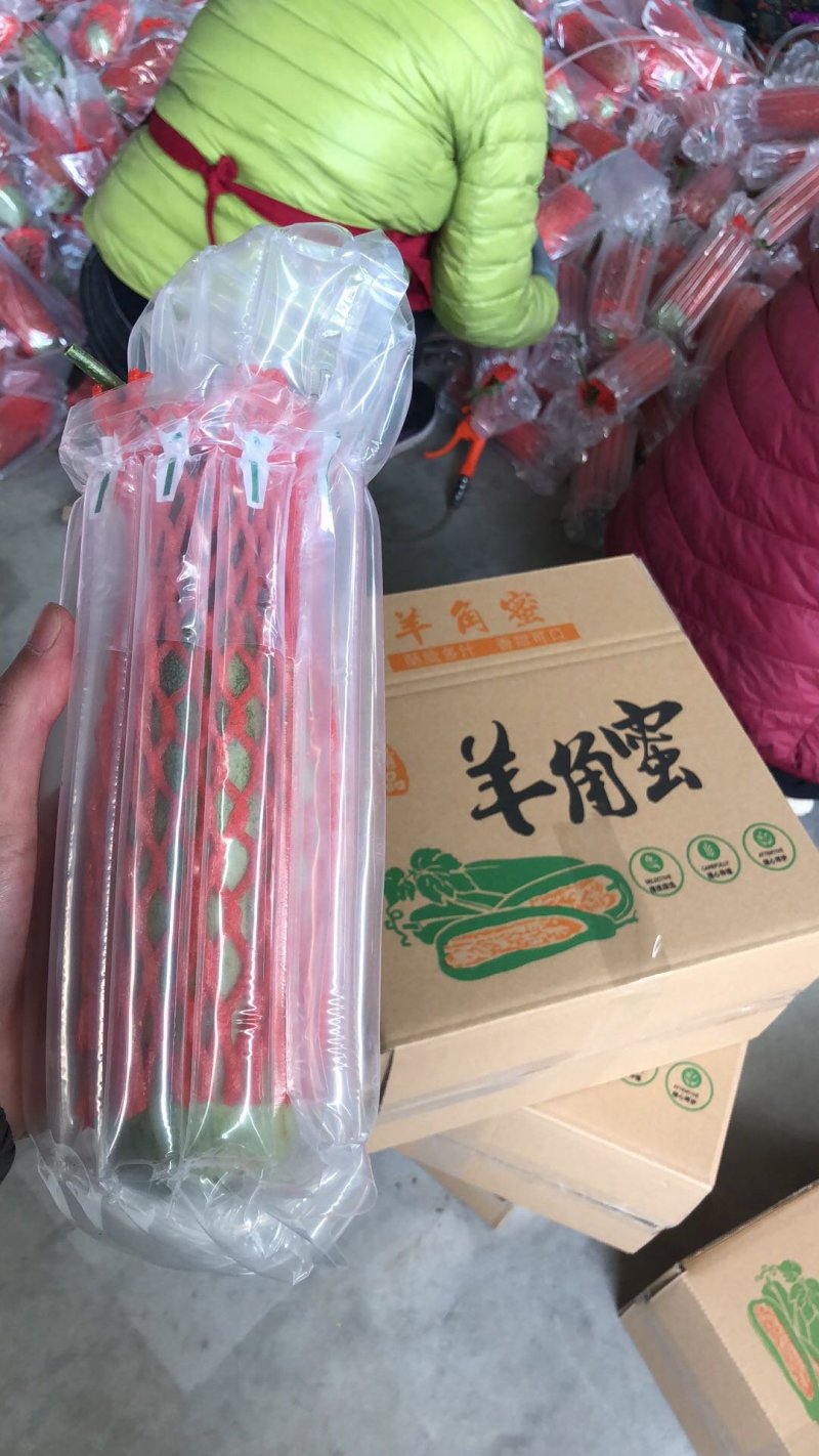 羊角蜜甜瓜山东羊角蜜甜瓜聊城羊角蜜甜瓜头茬吊瓜