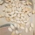 白南瓜子生白南瓜子干净无硫熏可炒食用