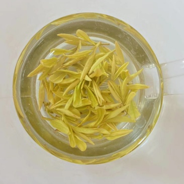 黄茶