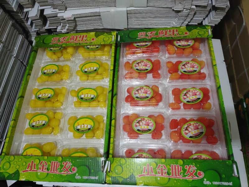 网红水果，黄金果，金西梅厂家直供量大从优欢迎联系