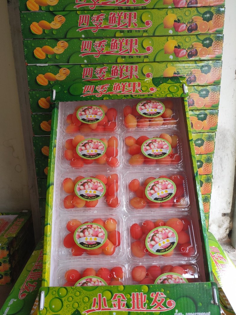 网红水果，黄金果，金西梅厂家直供量大从优欢迎联系