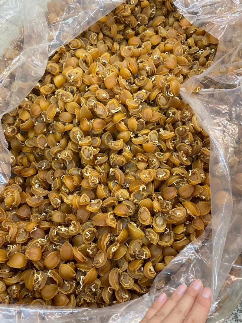 鲍鱼干网红小鲍鱼批发大连鲍鱼仔