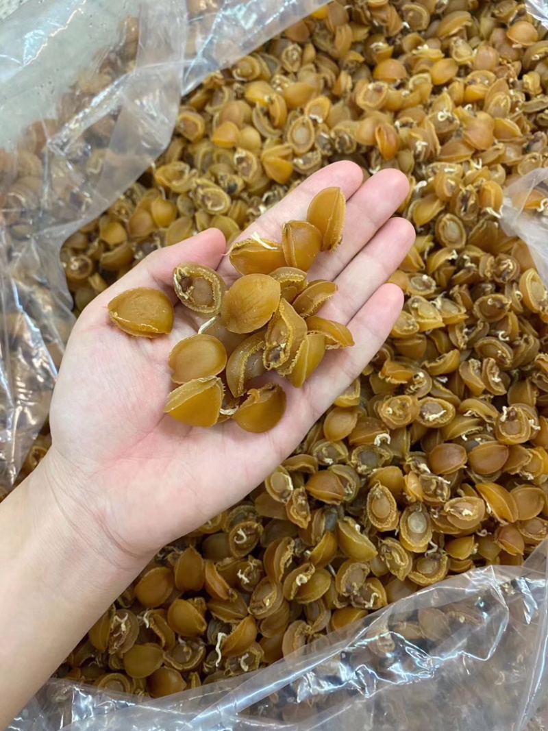 鲍鱼干网红小鲍鱼批发大连鲍鱼仔
