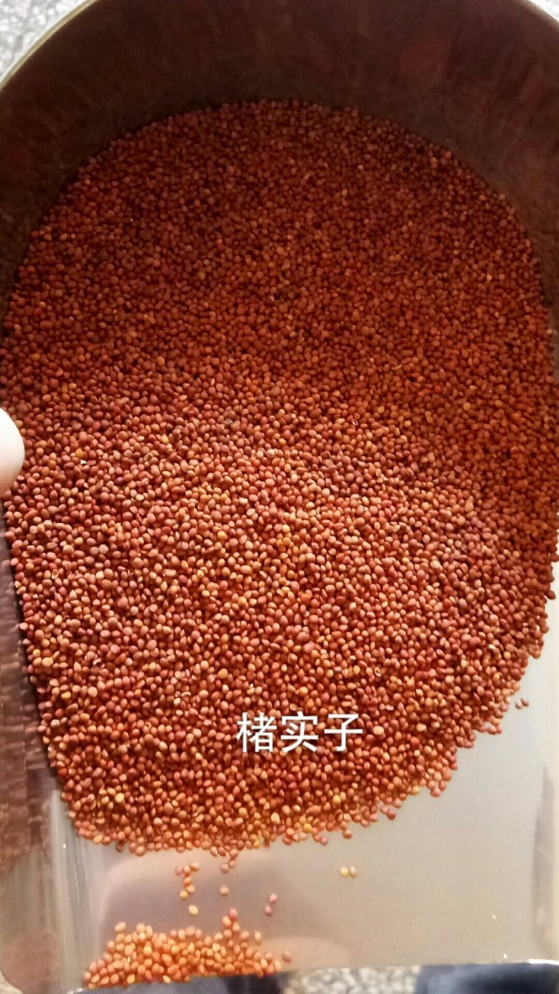 楮实子干净无杂质实物拍摄各种籽类药材