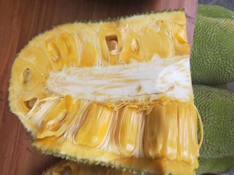 海南新鲜黄肉菠萝蜜非红菠萝蜜一件代发电商微商对接24时发