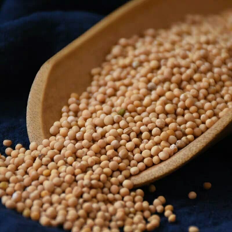 白芥子干净无杂质药食同源各种籽类中药材