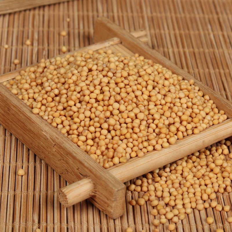 白芥子干净无杂质药食同源各种籽类中药材