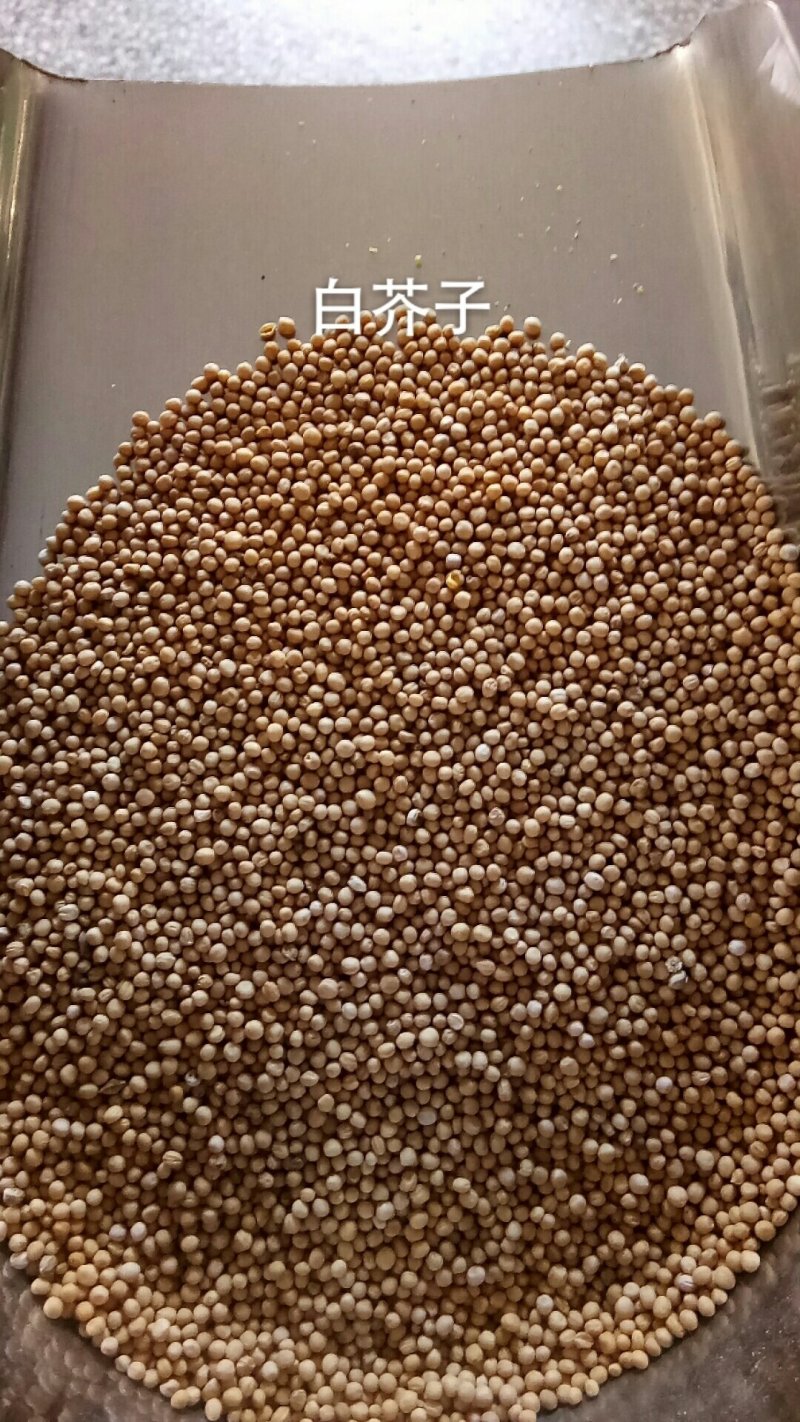 白芥子干净无杂质药食同源各种籽类中药材