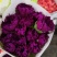 康乃馨盆栽花苗带花苞四季开花不断室内阳台花卉植物母亲节
