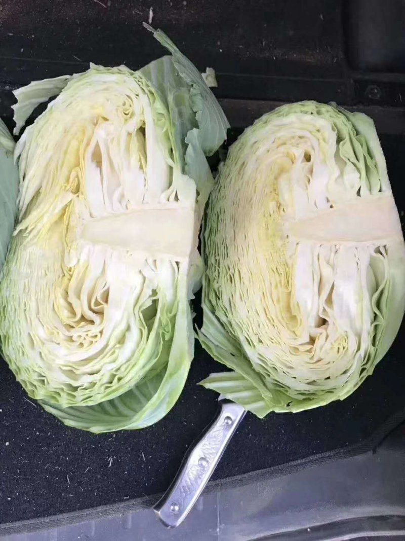 精品扁包东升扁包新野包菜价格便宜，新鲜采摘，保质保量