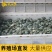 [巴西龟]巴西龟苗宠物观赏龟
